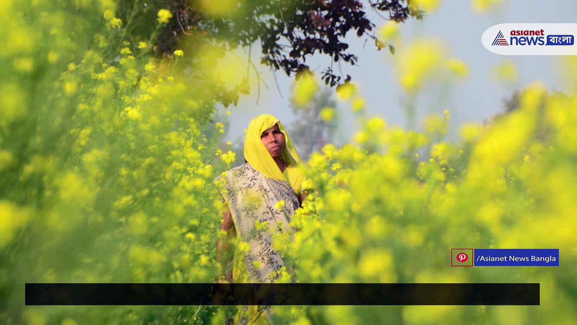 UP Election 2022: জয় নয়, ১০০ বার ভোটে হারাই টার্গেট হাসনুরাম-এর