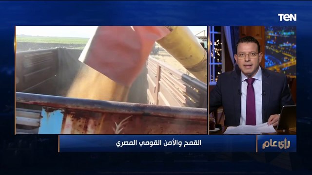 هل يمكن لمصر أن تحقق الاكتفاء الذاتي من القمح قريبا؟.. إجابة حاسمة من أستاذ اقتصاد زراعي
