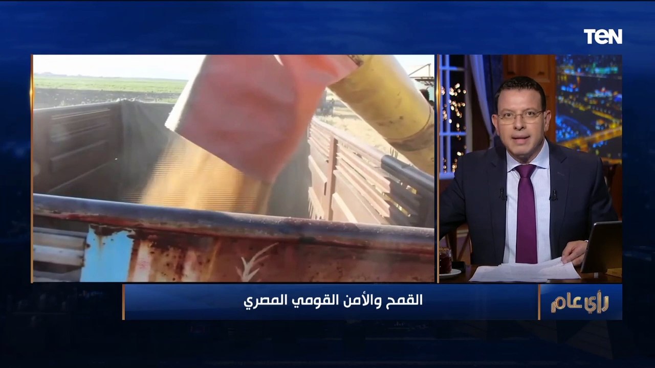 هل يمكن لمصر أن تحقق الاكتفاء الذاتي من القمح قريبا؟.. إجابة حاسمة من أستاذ اقتصاد زراعي