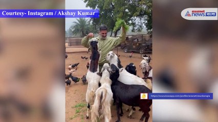 Animal lover  Akshay Kumar