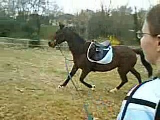 Héra's Role in Greek Mythology