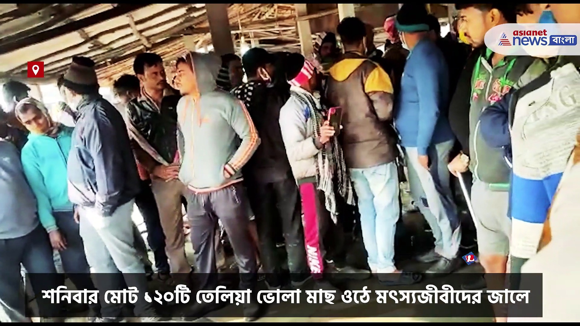 দীঘার সৈকত থেকে মৎস্যজীবীদের জালে কোটি টাকার 'তেলিয়া ভোলা' মাছ