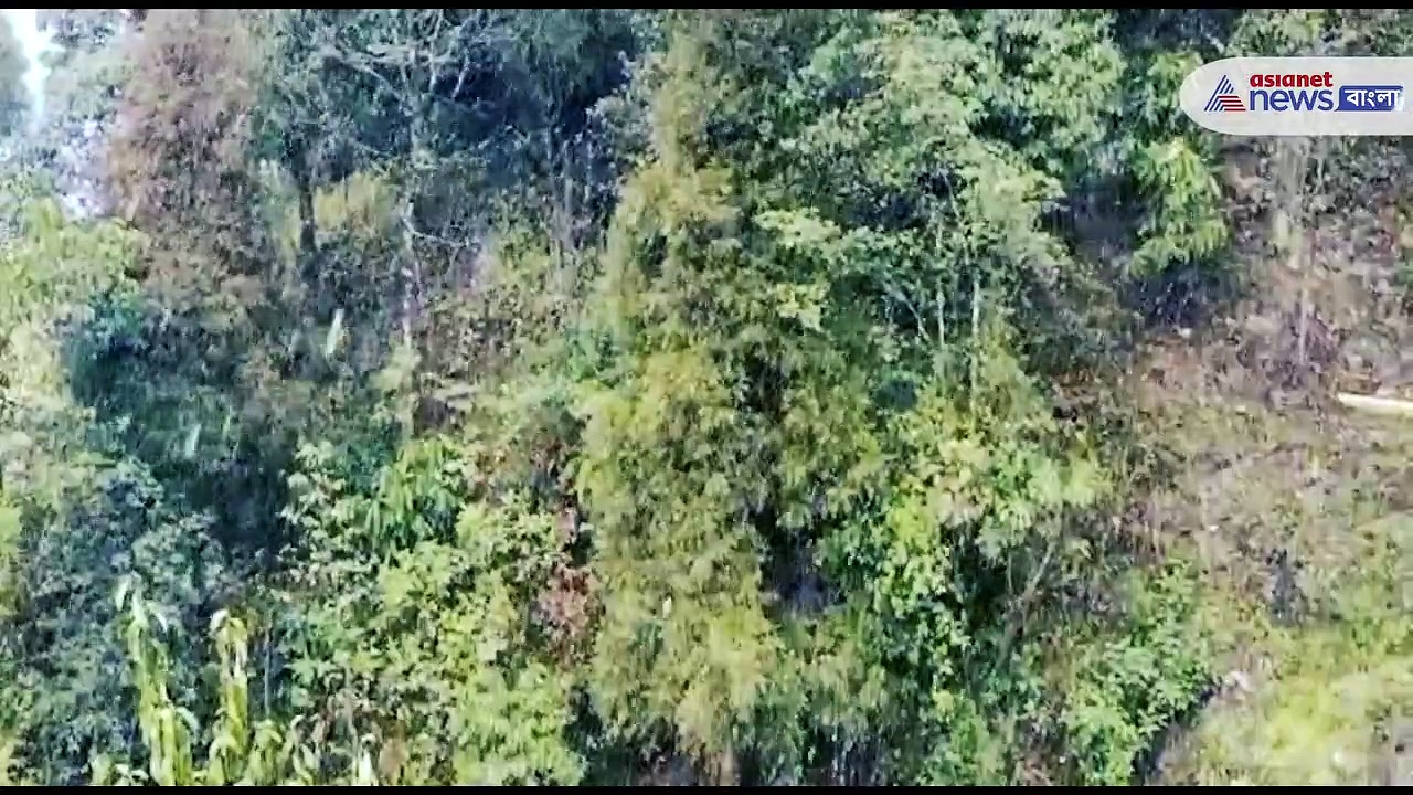 Darjeeling snowfall: ফের তুষারপাত, বরফের চাদরে ঢাকল শৈলশহর