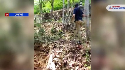 Viral snake rescue video