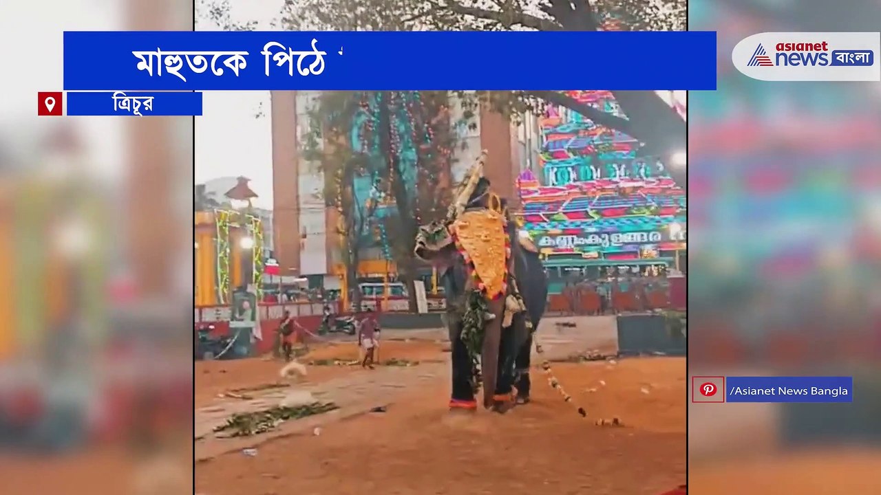 Angry Elephant ran with Mahoot on his back in Thrissur