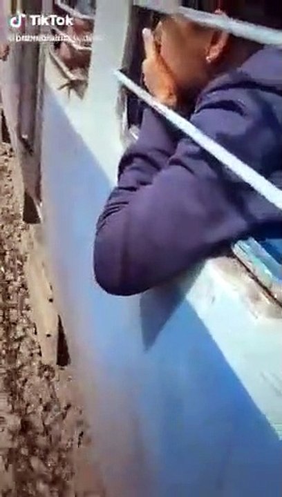 Tik tok train stunt