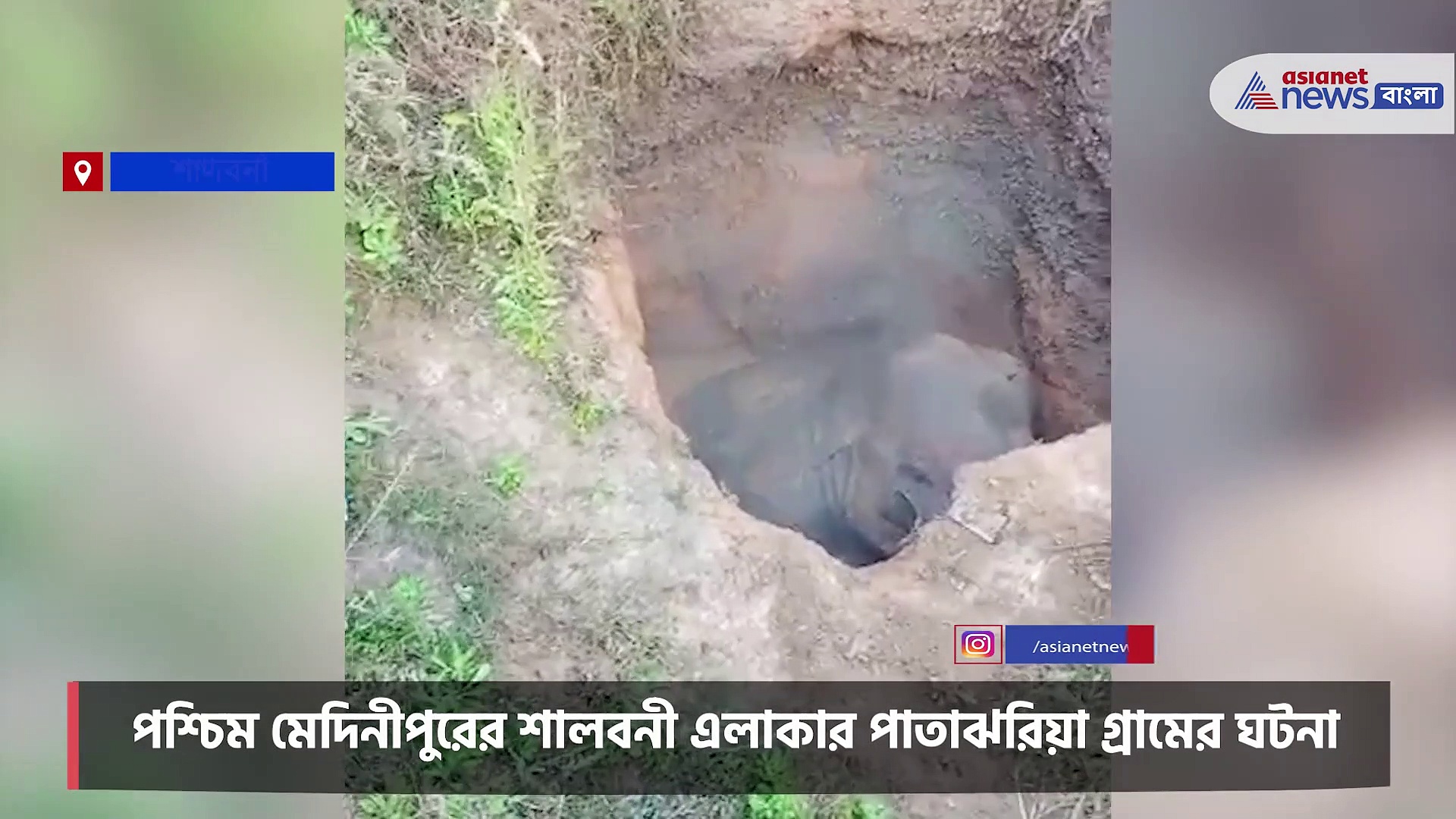 খাবার খুঁজতে বেরিয়ে বিপত্তি, কুয়োতে হাতি