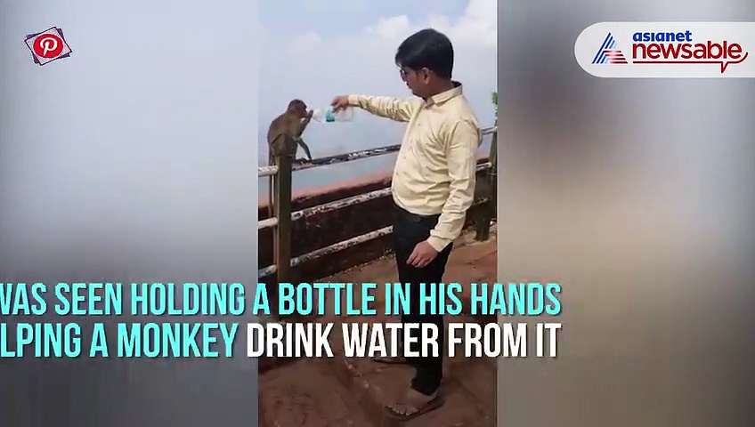 Man helps monkey drink water from bottle; video goes viral