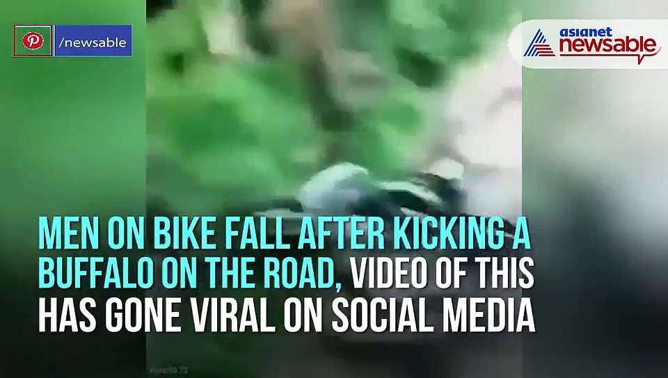 Bike-borne youths fall after kicking buffalo on road, perfect case of instant karma