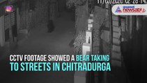 Bear strolls through Chitradurga streets amid coronavirus lockdown