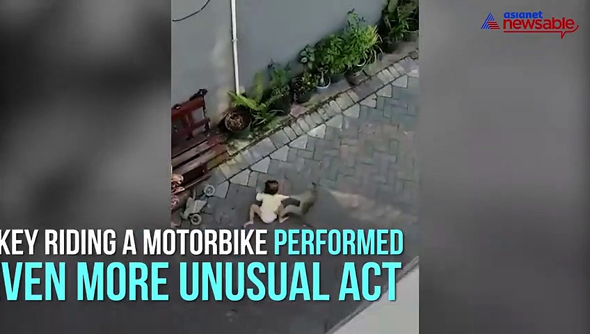 Monkey riding motorbike grabs child, drags toddler on the road; video goes viral