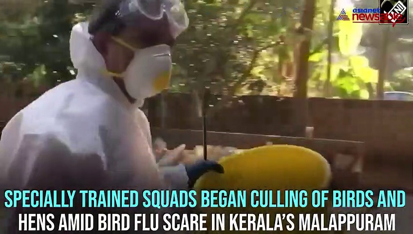 Specially-trained squads begin culling operations to contain bird flu in Kerala