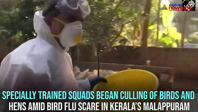 Specially-trained squads begin culling operations to contain bird flu in Kerala