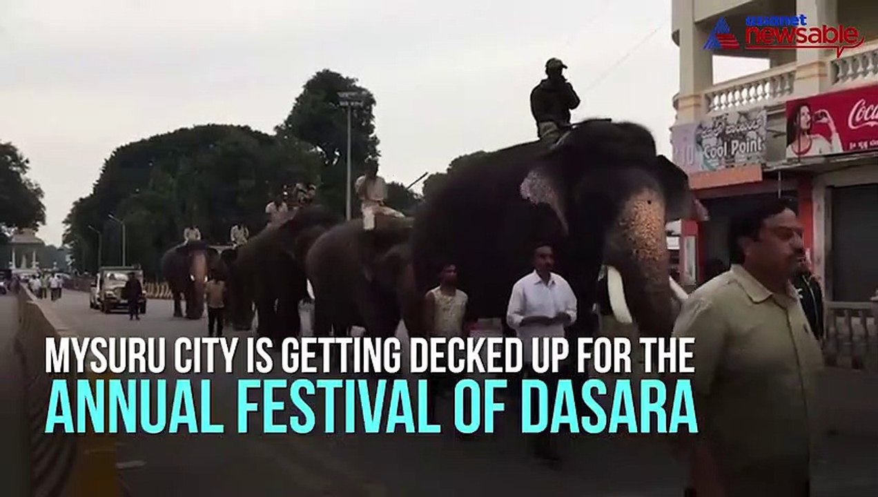 V Somanna Dasara inspection