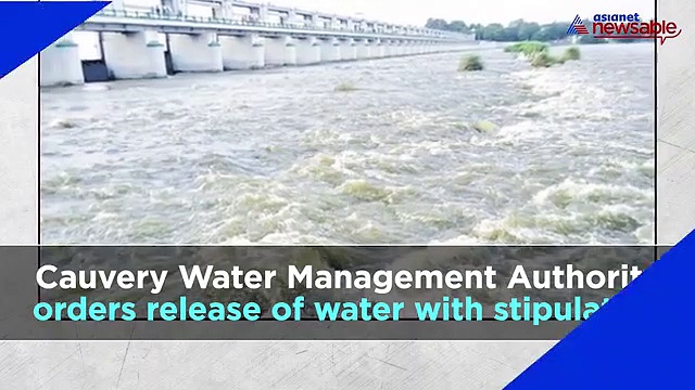 Bengaluru Night Cap: From Cauvery water release order to Tejasvi Surya's Kannada speech