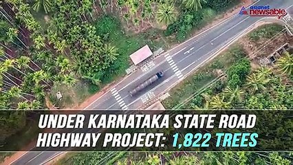 Bengaluru set to lose 3,559 trees in the name of development?