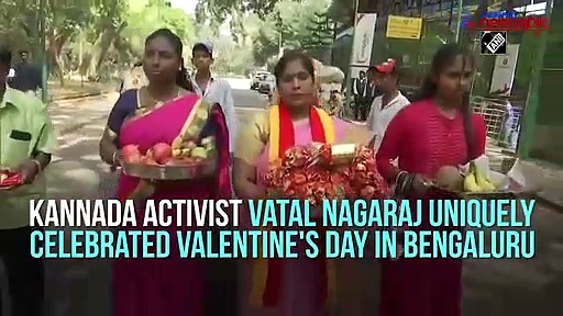 Wedding of horse couple performed to celebrate Valentine's Day in Bengaluru