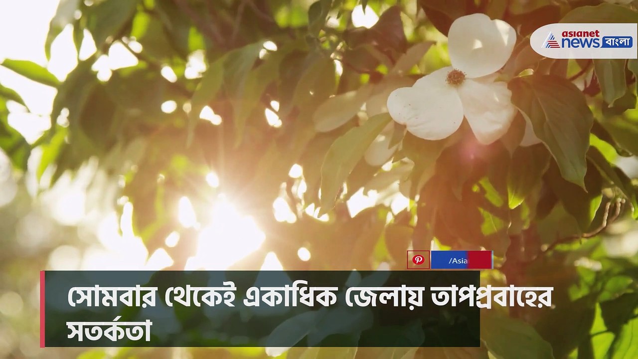 Warning of heat wave in several districts from...