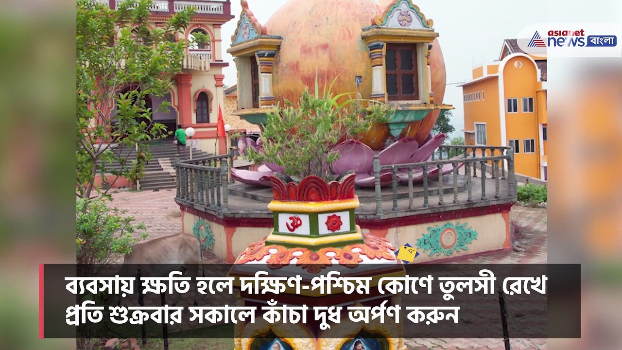 If you do not follow the rules, Tulsi tree brings bad luck