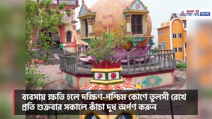 If you do not follow the rules, Tulsi tree brings bad luck