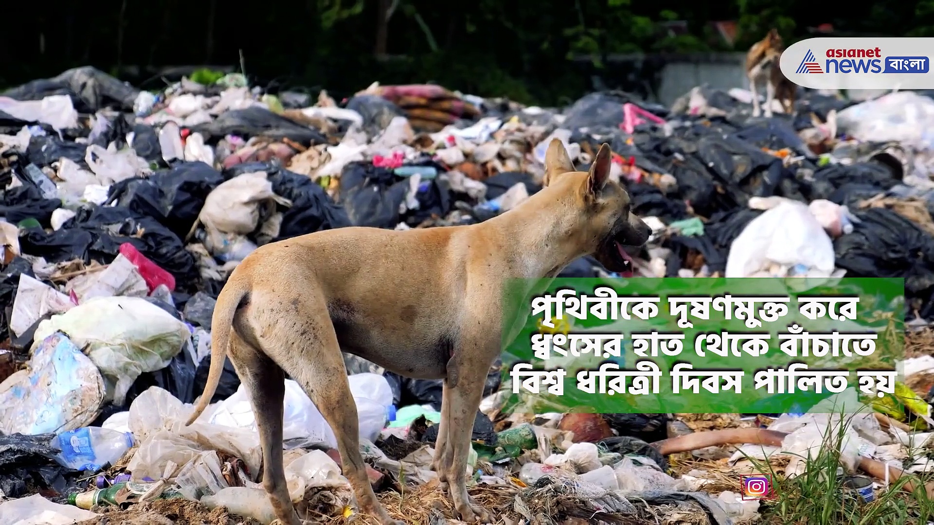 বিশ্ব ধরিত্রী দিবসে জেনে নিন এই বিশেষ দিনের এক অজানা ইতিহাস এবং তাৎপর্য