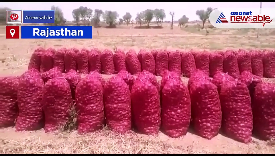 None to wipe tears of Jodhpur farmers as onion prices slump to Rs 5 in Rajasthan
