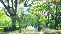 Bengaluru municipality makes heads turn on New Year with its initiative to save 83 trees