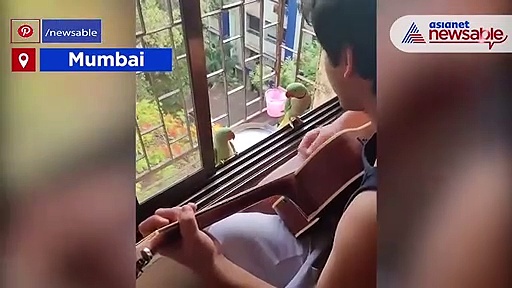 Viral video: Parrots ‘sing’ with man playing guitar in Mumbai