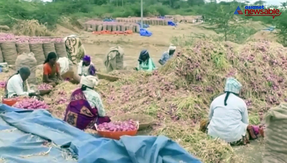 Debt-ridden Karnataka farmer sells onions worth Rs 96 lakh