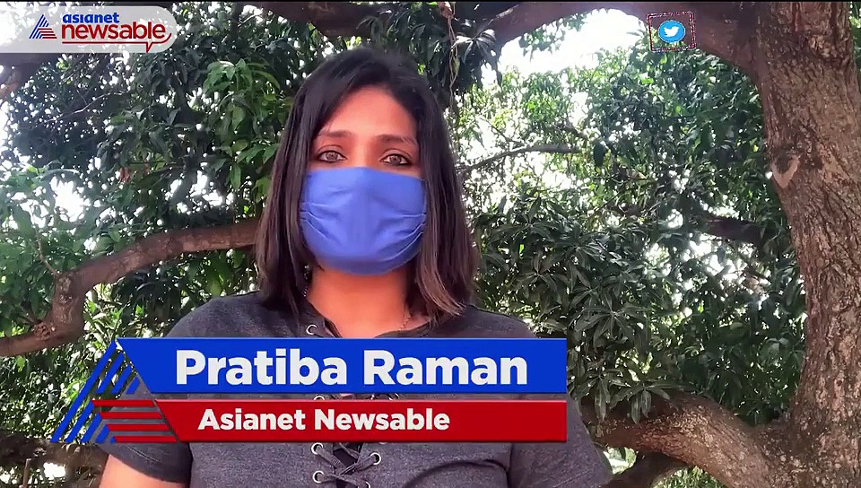 Two puppies poisoned yet again in Bengaluru, rescuers fume over police inaction