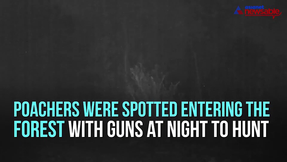 Making most of lockdown: Poachers enter forest with arms, captured on surveillance camera