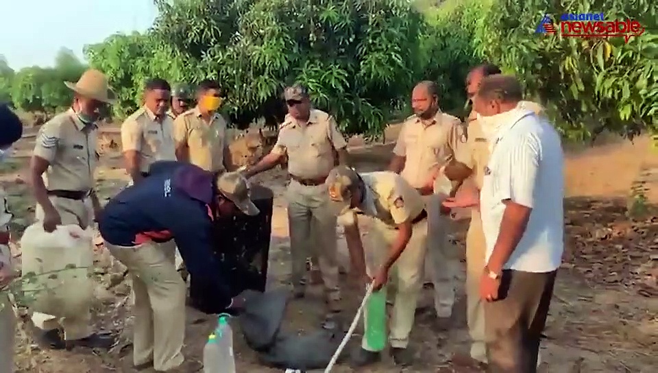 COVID-19: Bootleggers make hooch as police remain occupied with enforcing lockdown