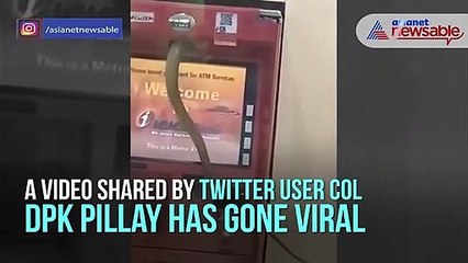 Snake in ATM