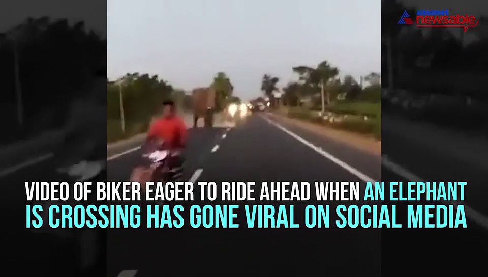 Impatient biker almost gets hit by elephant, video goes viral