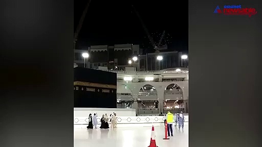 Coronavirus: Birds perform ritual instead of humans at Mecca