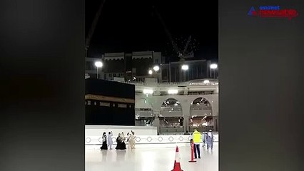 Coronavirus: Birds perform tawaf at Kaaba in Mecca after humans are restricted