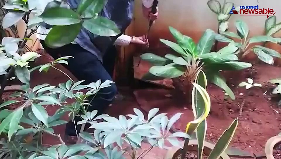 Solar eclipse and snake: Bad omen for Karnataka's Deputy CM Laxman Savadi?