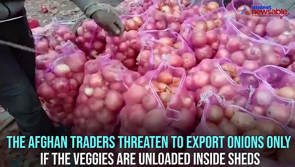 Afghan traders threaten to stop onion export to India