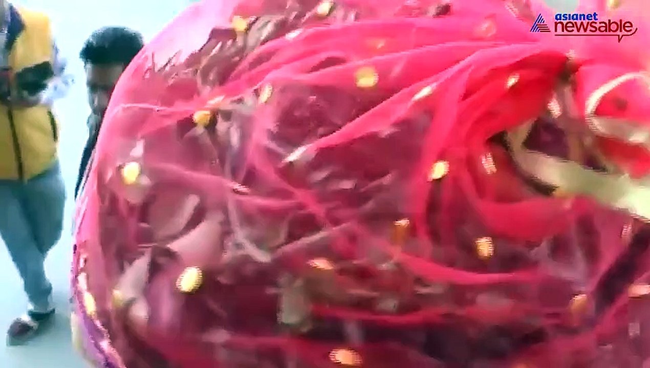 BJP MLA brings basket of locusts into Rajasthan...