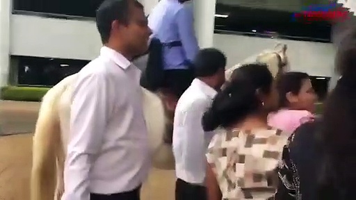 Software engineer comes to office on a horse to celebrate his last day of work