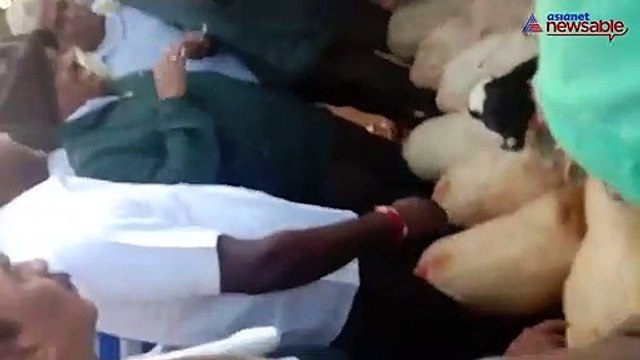 Former Karnataka Assembly Speaker, MLA Ramesh Kumar turns to sheep farming