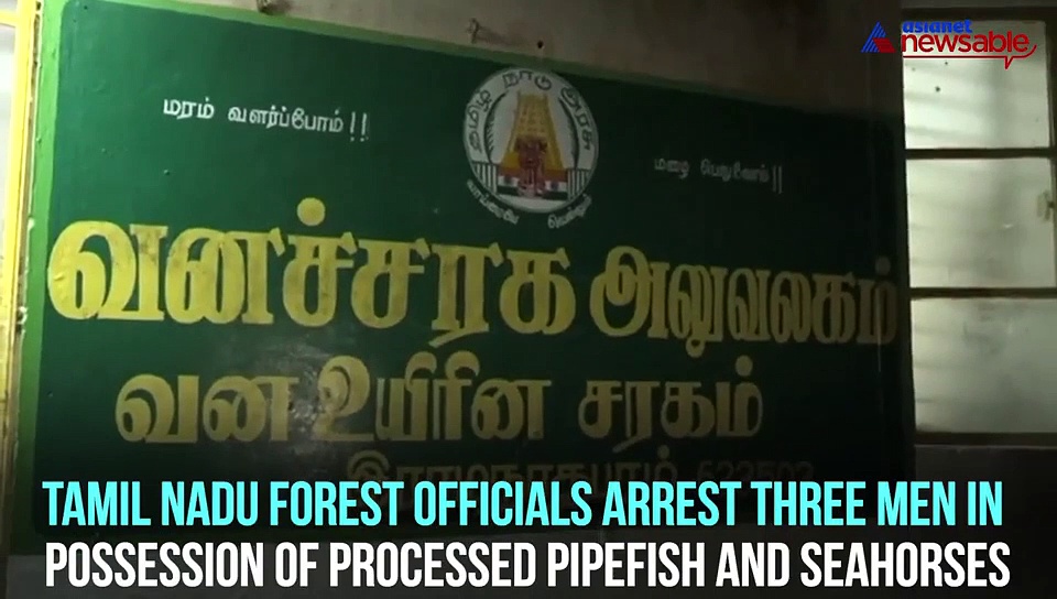 Tamil Nadu forest officials seize processed seahorse, pipefish near Thondi; 3 arrested