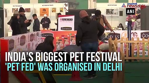 India's biggest pet festival 'Pet Fed' attracts huge crowds in Delhi