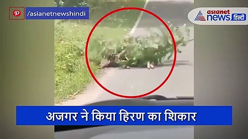 मौत को ऐसे भी दी जा सकती है मात, किस्मत का खेल दिखाता ये लाजवाब वीडियो