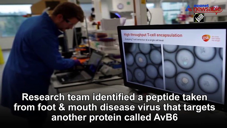 Scientists target foot, mouth disease virus to tackle pancreatic cancer