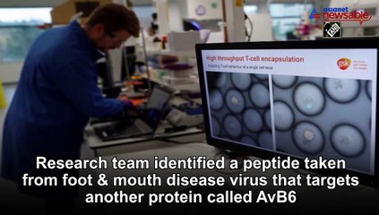 Scientists target foot, mouth disease virus to tackle pancreatic cancer