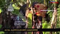 Elephant stabs its mahout during temple festival in Kerala