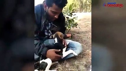 Drunk man feeds puppy with alcohol