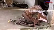 Kerala Kochi