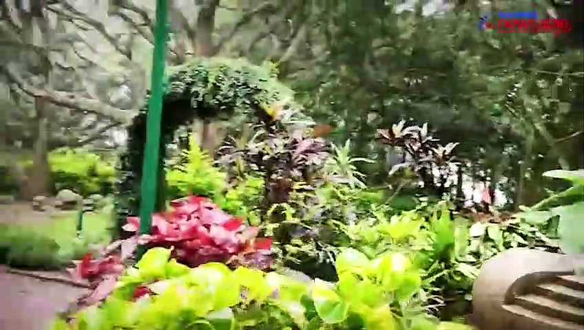 PubliCity: After authorities banned photoshoots at Lalbagh and Cubbon Park, couples head to Nandi Hills